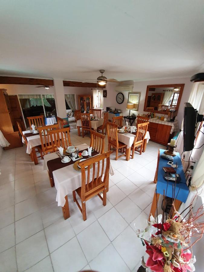 Harmony Guesthouse ネルスプロイト エクステリア 写真
